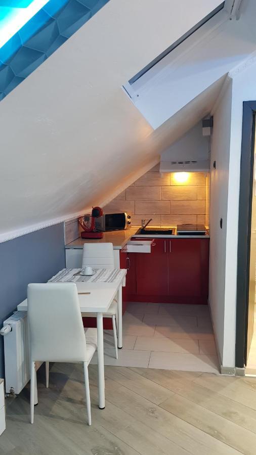 Apartmán Le Petit Luxembourg Montignies-sur-Sambre Exteriér fotografie